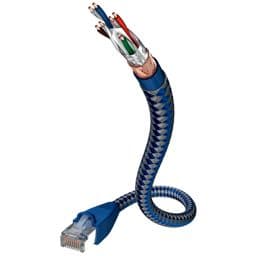 Foto: in-akustik Premium CAT6 Patchkabel RJ45 0,5m   004803005