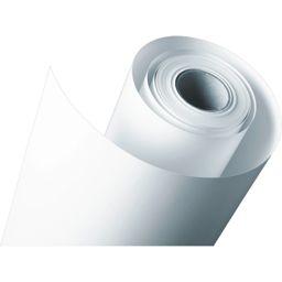 Foto: Epson Proofing Paper White Semimatte 61 cm x 30,5m S 042004